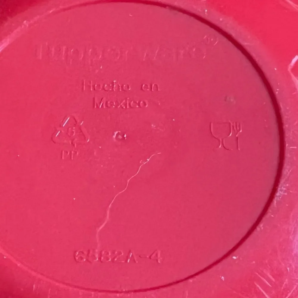 NWT Tupperware Tomato Keeper